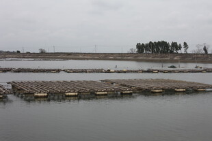 水上养殖平台景观