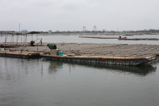 水上养殖平台场景