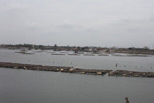宁静港湾的船只风景