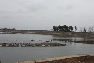 湖畔风景 宁静水域景观