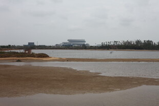 河岸景观 水域与远处建筑