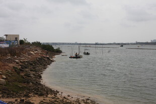 岸边水域船只风景图