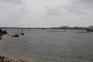 江边船只风景图