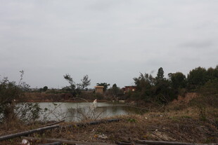 郊外湿地铁轨风景