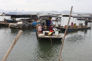 水乡码头的船只与行人