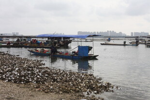 江边停泊的蓝色小船