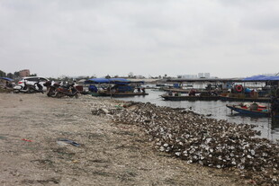 海边渔村码头场景
