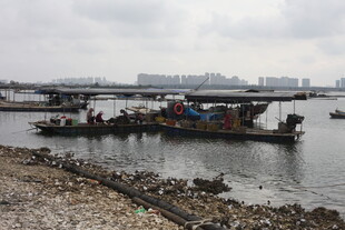 江边停泊的多艘船只