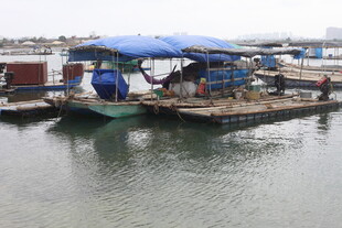 水上浮动设施的停泊场景