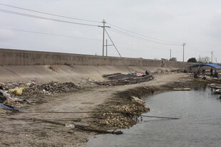 河岸垃圾堆积场景