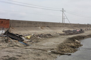河边垃圾堆积场景