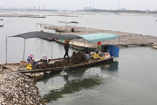 水上浮动平台上的活动场景