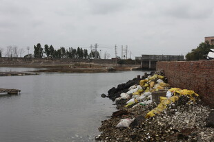 河边垃圾堆积景象