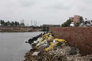 河边垃圾堆积场景