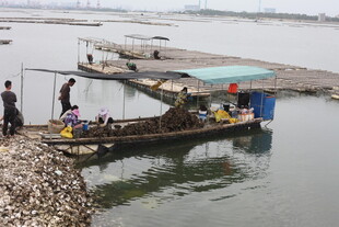 河边停靠的简易水上船只