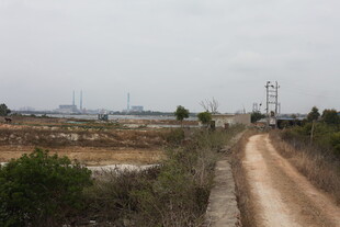 郊外土路旁的开阔景象