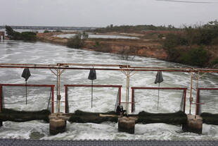 水坝上栖息的鸟儿