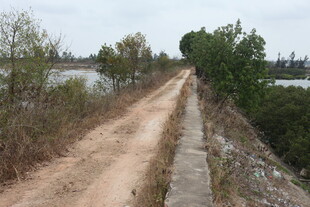 乡间土路旁的河岸风光
