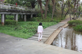 女子漫步于林间木栈道