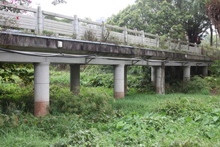 野外老旧桥梁 草木环绕