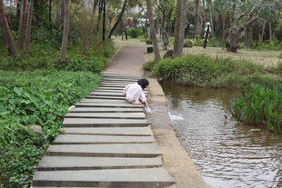木栈道上的人俯身看水边