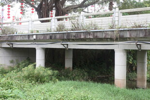 老旧桥身 桥下绿植茂盛