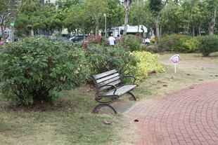 公园小径旁的休闲长椅