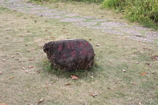 草地上的一块深色石头