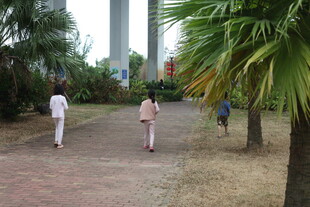 公园中漫步的行人