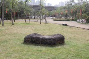 公园草坪上的独特造型石块