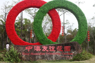 双环绿植景观庆中法友谊