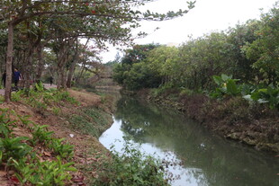 乡村小河畔的自然景致