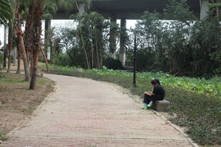 小径上独坐的人