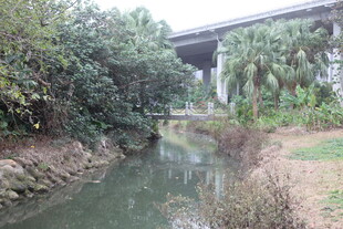 河畔绿植环绕的宁静景致