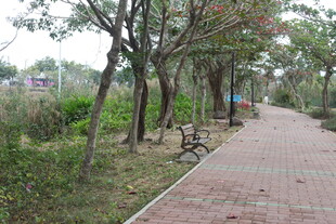 林间砖道旁的休憩长椅