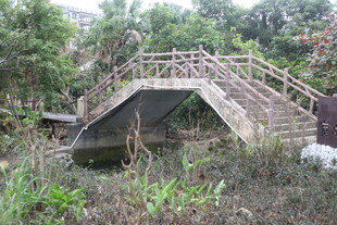 林间木桥横跨小小溪流