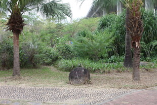户外绿植环绕的休闲场景