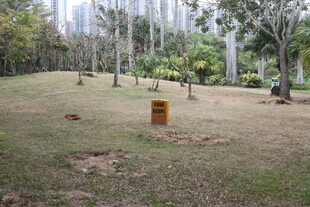 户外林间的黄色箱体场景