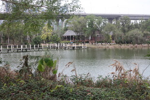 湖畔自然风光景色