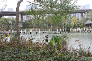 河畔风景 自然与建筑相融