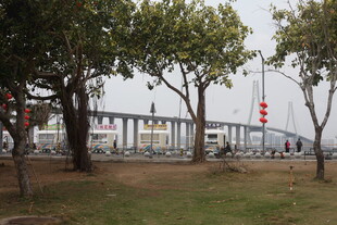 公园旁的桥梁景观