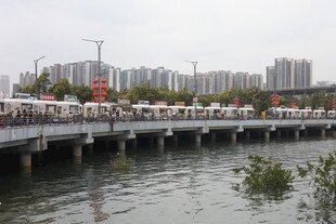 城市河畔桥梁及远处建筑群