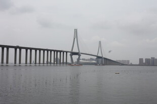 江上大桥横跨水域