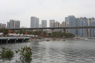 城市河畔桥梁与高楼景观