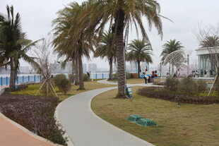 海滨公园的棕榈树与步道