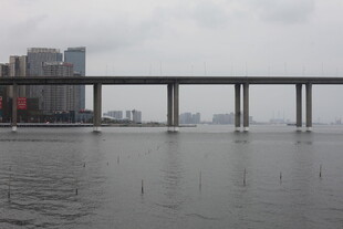 城市水域上的桥梁景观