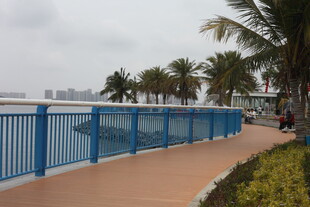 海滨蓝栏杆旁的椰树步道