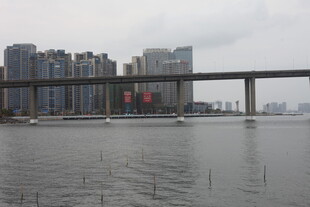 城市河畔桥梁景观