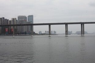 城市江景中的跨江大桥