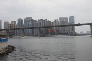 城市江景与跨江大桥景观